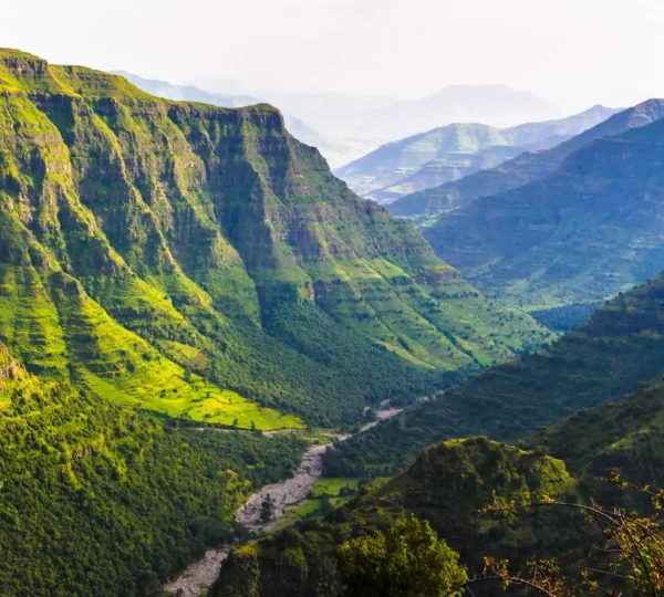 3-Day Simien Mountains: Roof of Africa Trek