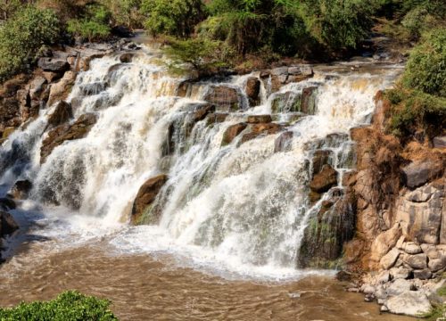 14-Day North & Awash National Park Tour