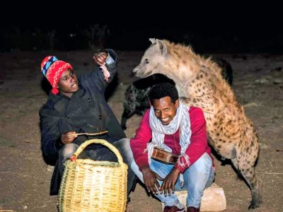 photo_2026-03-13_14-58-49